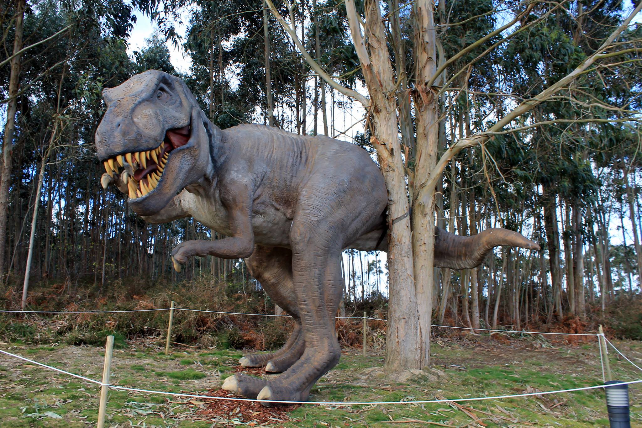 MUJA - Museo Jurásico de Asturias