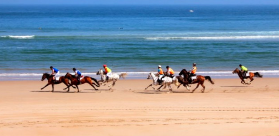 XXXIV edición de las Carreras de Caballos en la playa de Santa Marina